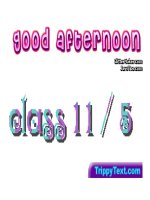 Unit 12: The asian Games