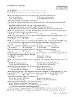 Hungmanu-Một chút N-P