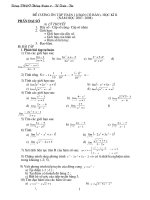 Ôn tập Toán 11 học kỳ II