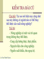 Bài 28. Địa lý nghành trồng trọt