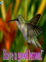 Unit 7: Lesson 6: C4- 5/ p.80- 81