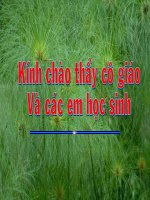 Tiết 73: Những yêu cầu về sử dụng tiếng Việt