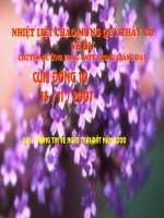 Tiết 39: Thông tin về ngày trái đất năm 2000