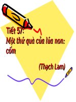 Tiết 57: Một thứ quà của lúa non: Cốm