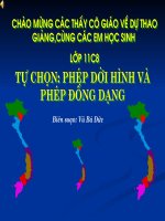 Phep doi hinh va phep dong dang