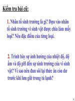 cấu trúc của virut