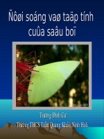 Bài 28: Đời sống và tập tính của sâu bọ
