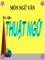 Thuật ngữ