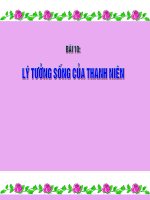 Bài 10 Lý Tưởng của thanh Niên