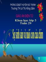 Sự sinh sản và nuôi con của chim