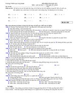 Kiẻm tra lịch sử 7 học kỳ II