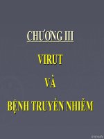 bài 43. cấu trúc Virut