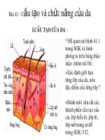 Cau tao va tinh chat cua Da
