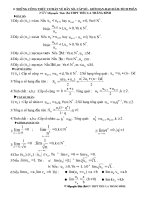 46 BÀI TOÁN ÔN TẬP :DÃY SỐ-CSC-CSN-GIỚI HẠNLỚP 11 NC