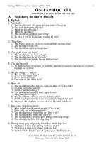 Ôn tập học kỳ 1 môn toán 10 (nâng cao)