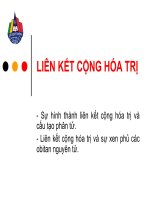 Liên kết cộng hóa trị