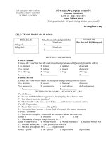 Đề thi học kỳ I lớp 10 hệ chuyên