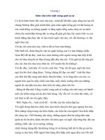 Đất rừng phương nam