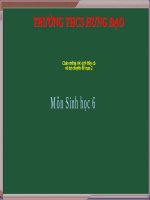 Tiết 23. QUANG HỢP