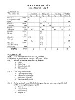 Noel 2008-Đề thi Sinh HK1 và đáp án lớp 8(Đề 04)
