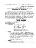 Báo cáo công tác đội năm học 2007-2008