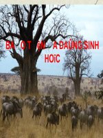 Giao trinh Bao ton da dang sinh hoc 1