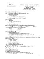 Đề thi BKI lớp 11 Môn Hóa