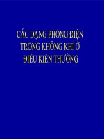 CÁC HIỆN TƯỢNG PHÓNG ĐIỆN TRONG ĐIỀU KIỆN BÌNH THƯỜNG