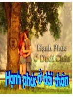 hạnh phúc ở dưới chân