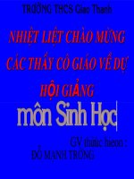 Bai 34 Thoai hoa....Do Manh Truong
