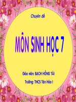 DA DANG CA SINH7