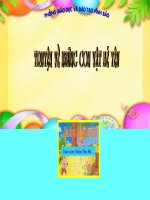 Truyện Sên và thỏ