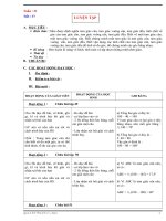 Luyện tập: Các dạng tam giác