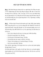 bài tập tín dụng nhtm