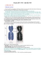 NST và đột biến NST