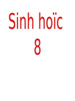 tiến hóa hệ vận động