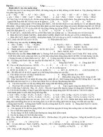 ôn tập kim loại nhóm I,II,IIIA