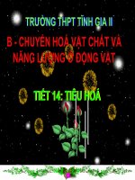 Bài 15. Tiêu hóa của động vật