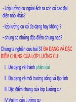 bbbbbbbbbbbbbbbbbbbbb