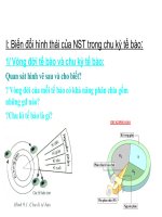 tiét 9: Nguyên Phân