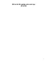 đề ôn tập TN số 02