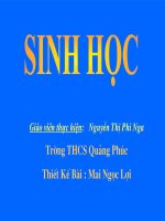 Tiết 29 Hấp Thụ Chất Dinh Dưỡng Và Thải Phân