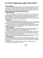 Quy trinh trong nam so