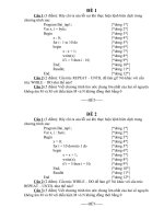 Đề thi Học kỳ I - Tin 11