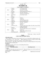 Giáo án lớp 2 tuần 14