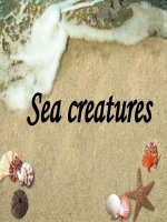 u9 undersea world +lis