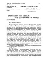 sang kien tong phu trach