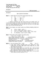 DA NANG - PHAN CHU TRINH - DETHI_DAPAN_HOA10-2