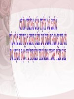 Chuyên đề ngoại khóa vật lý