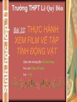 ãem phim về tập tính động vật